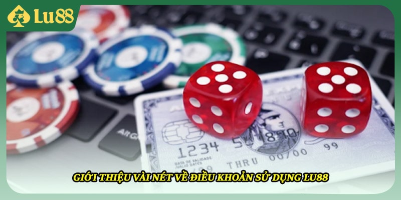 Giới thiệu vài nét về điều khoản sử dụng LU88