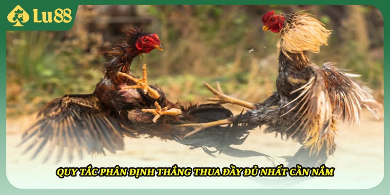 Quy tắc phân định thắng thua đầy đủ nhất cần nắm