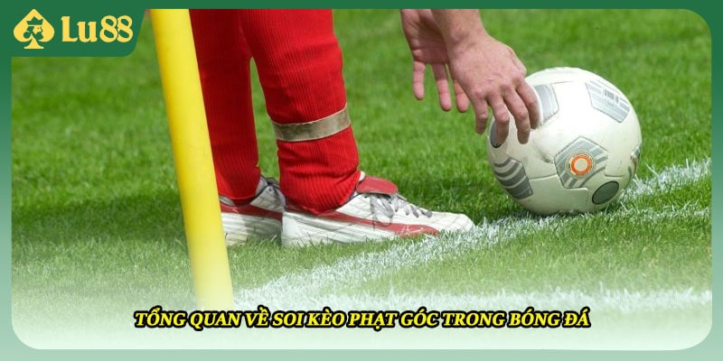 Tổng quan về soi kèo phạt góc trong bóng đá